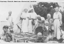 Forest Finn – metsäsuomalaisten unohdettu historia Forest Finn